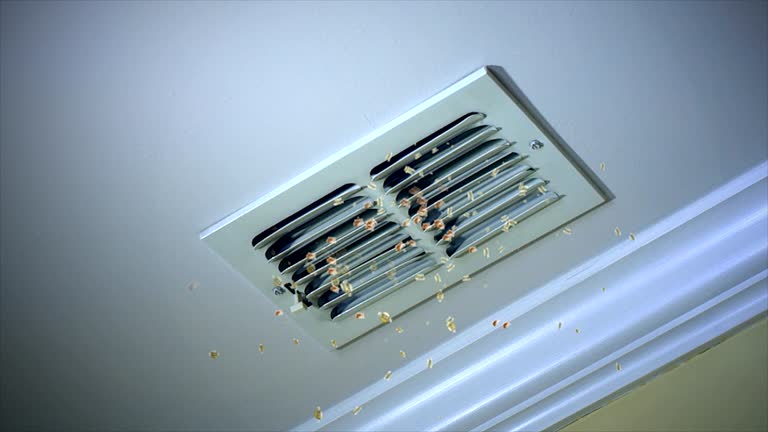Best Affordable HVAC Duct Cleaning  in Sparta, IL