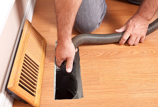 Best Air Duct Mold Removal  in Sparta, IL