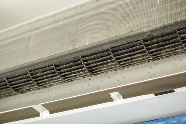 Best Residential Air Duct Cleaning  in Sparta, IL